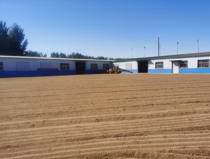 晾曬場(chǎng)地